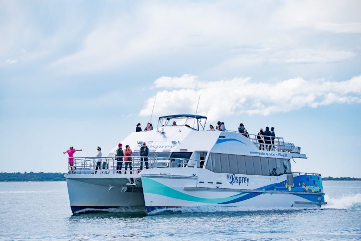 a blue and white boat sitting next to a body of water