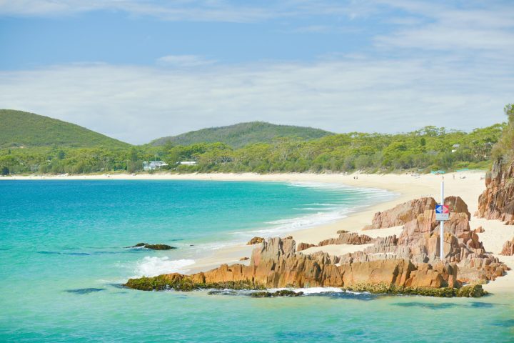 Moonshadow TQC Port Stephens Dolphin