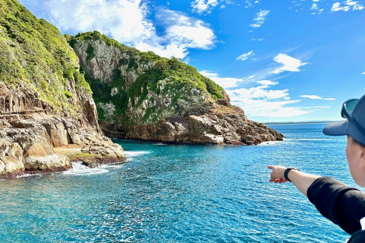 Whale Watching Moonshadow TQC Cruises Port Stephens