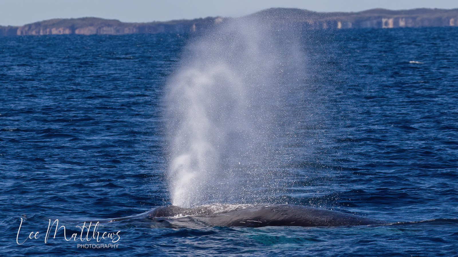 a man riding a wave on top of a body of water