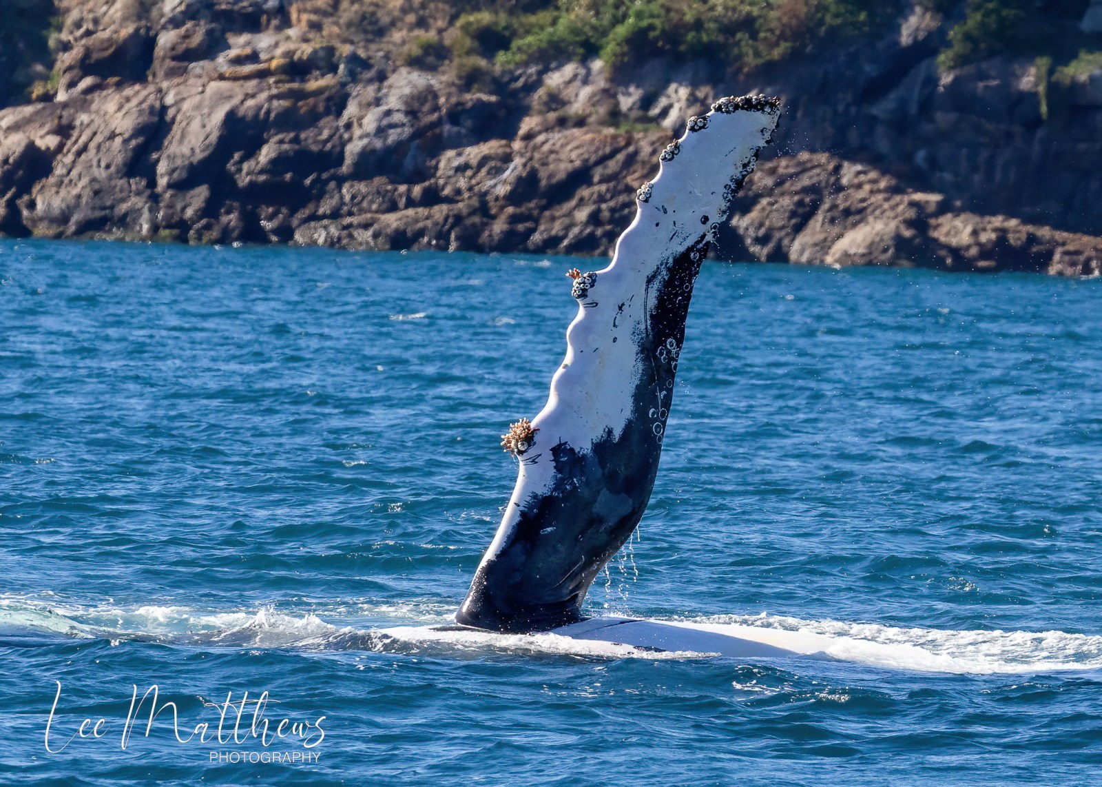 a body of water with a mountain in the background