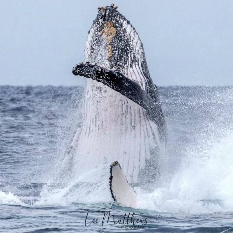 a man riding a wave on a surfboard in the water
