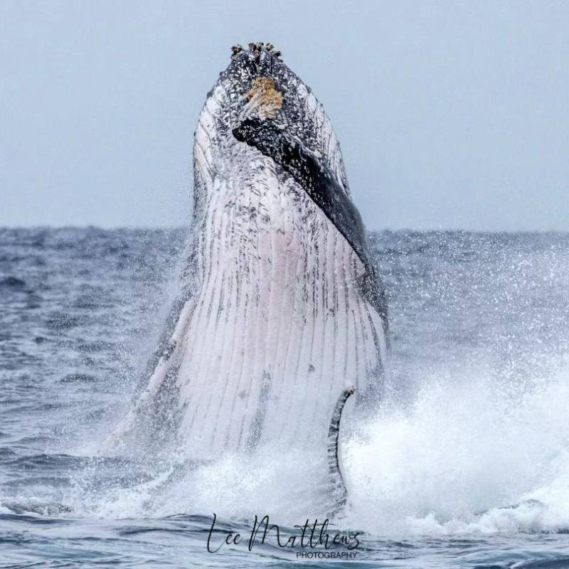 a man riding a wave on a surfboard in the water