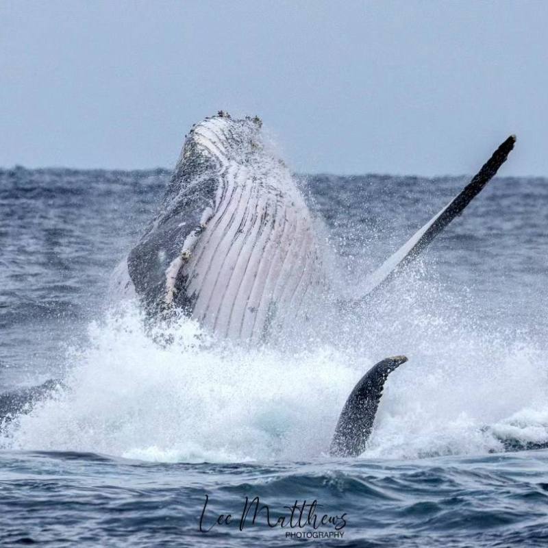 a man riding a wave on a surfboard in the water