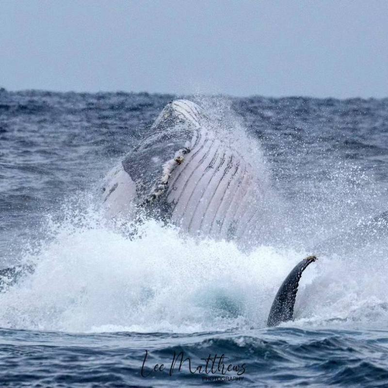 a man riding a wave in the ocean