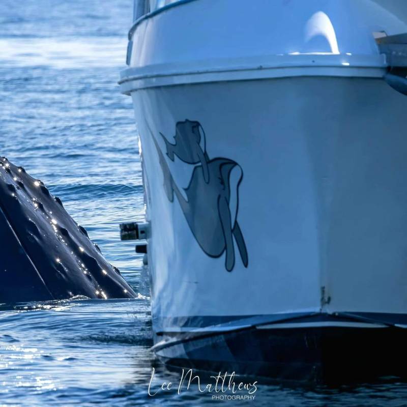 a small boat in a body of water