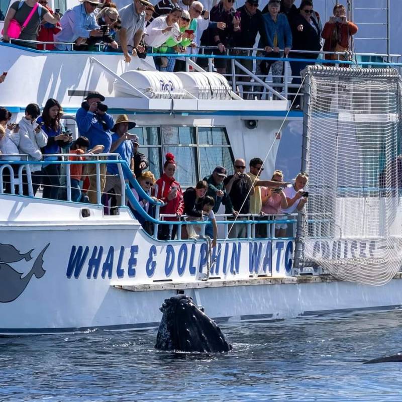 a group of people on a boat in the water
