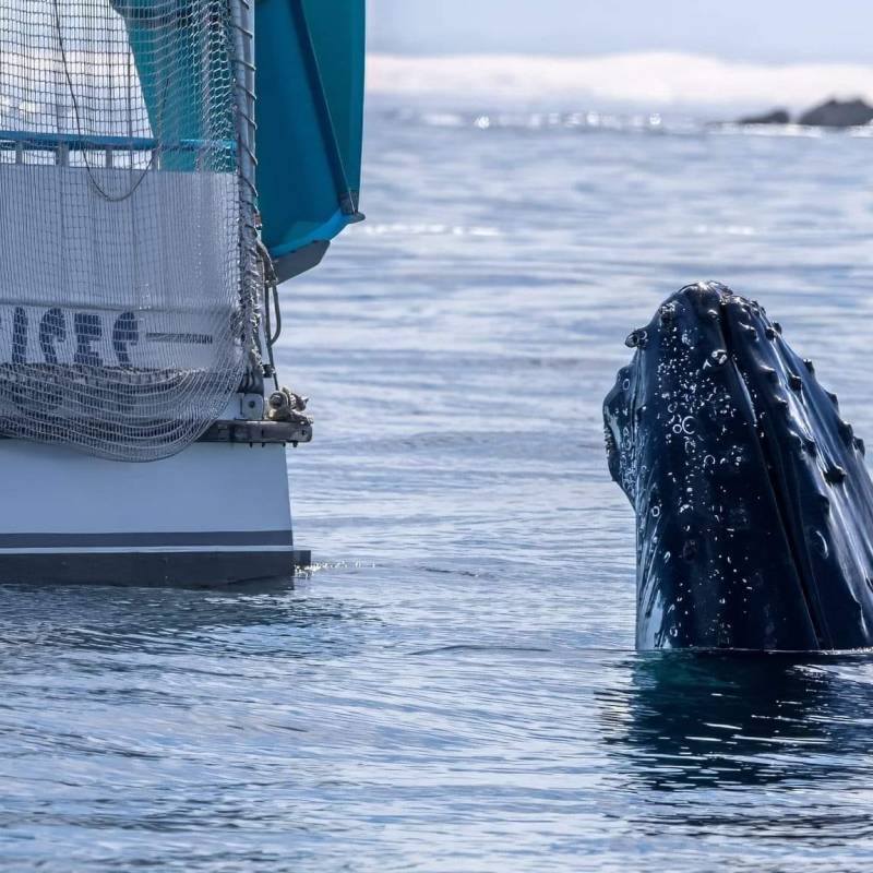 a boat on a body of water