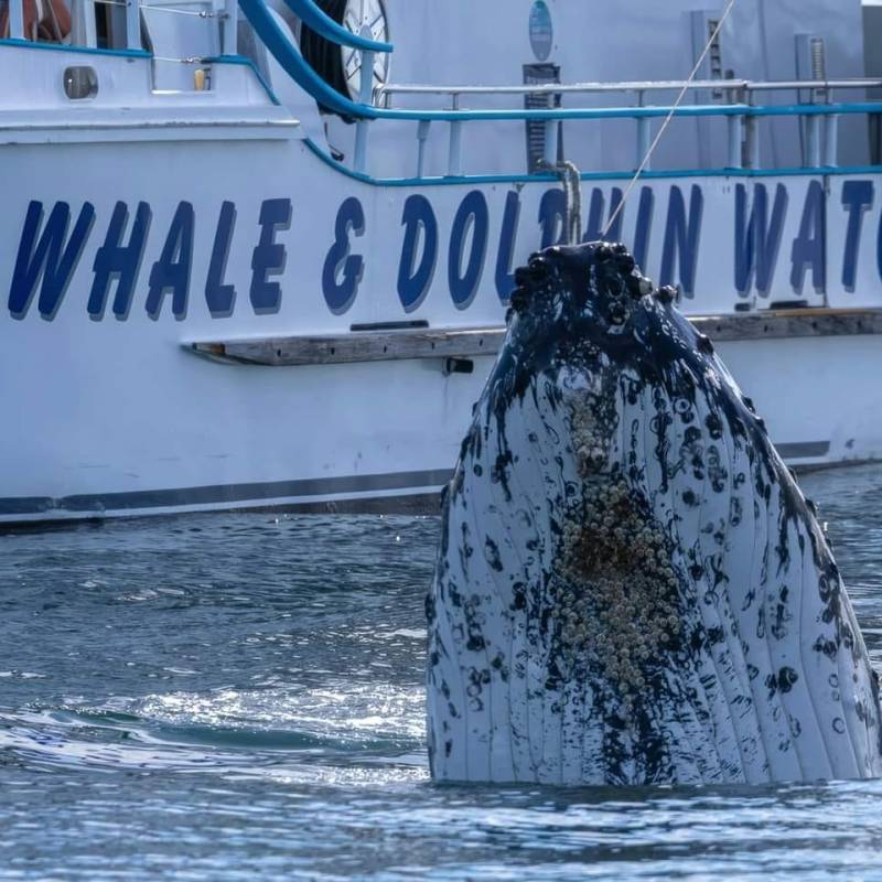a boat that is floating in the water
