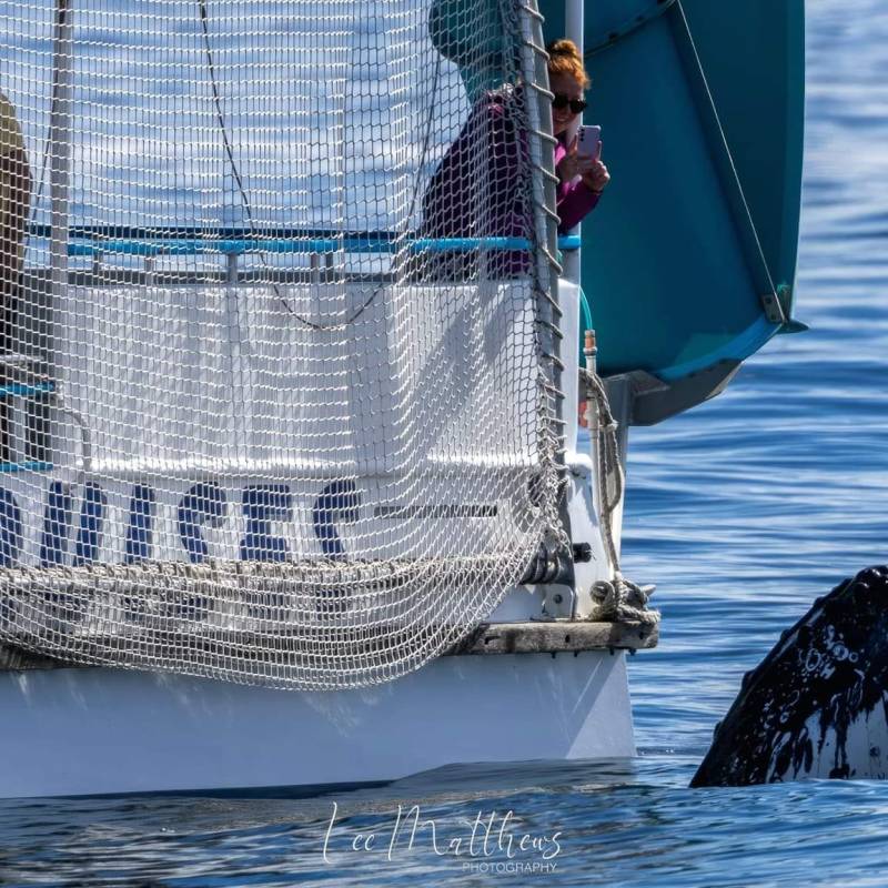 a boat on a body of water