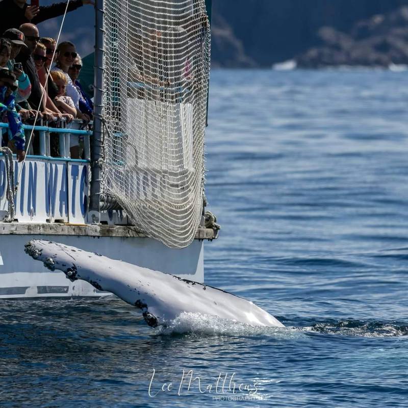 a small boat in a body of water