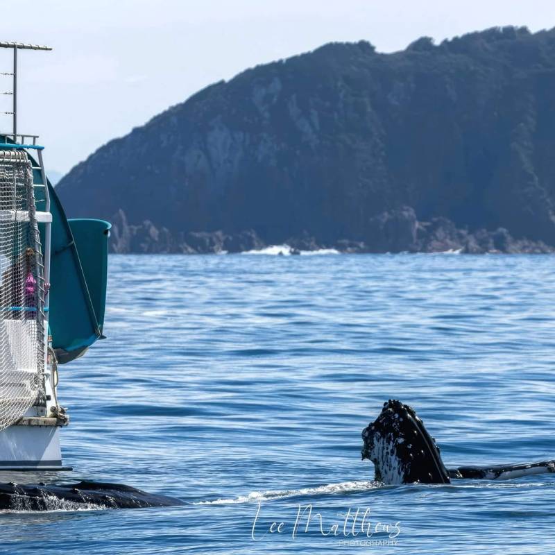 a man riding on the back of a boat in the water