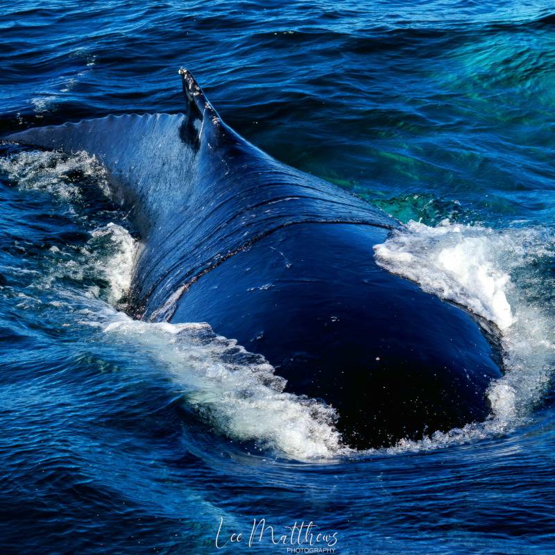 a man riding a wave on top of a body of water