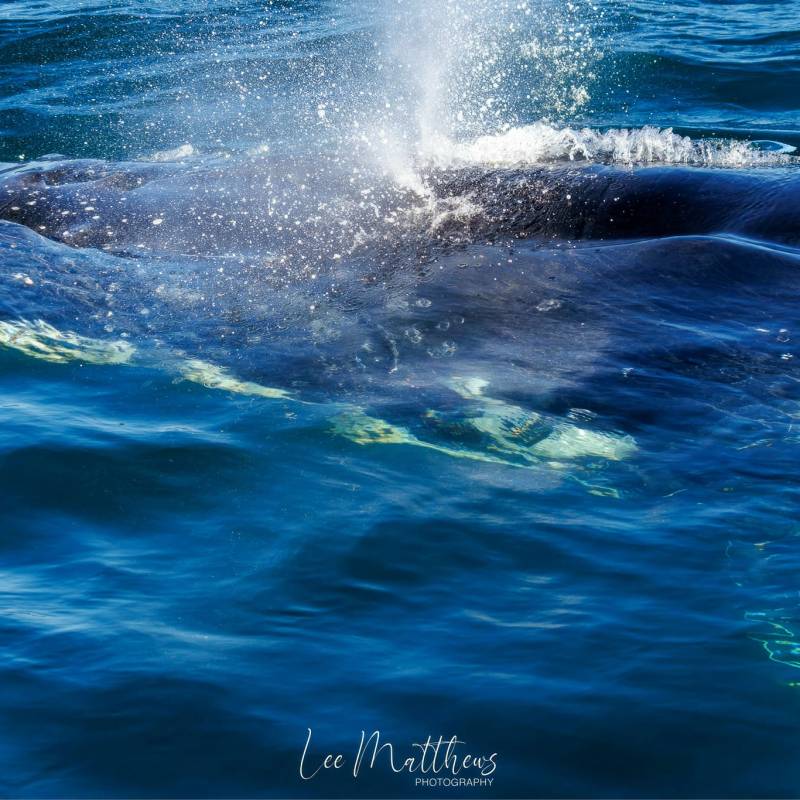 a man riding a wave on top of a body of water