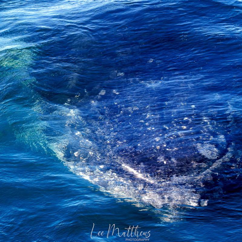 a man riding a wave on a surfboard in the water
