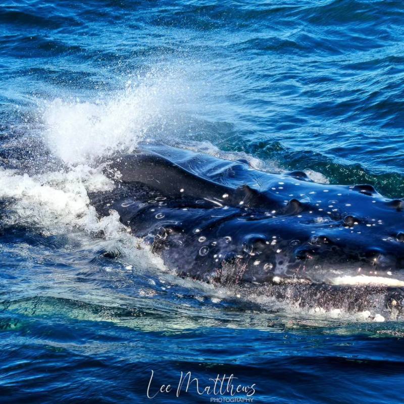 a man riding a wave on a surfboard in the water