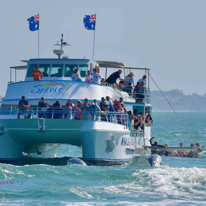 a large ship in a body of water
