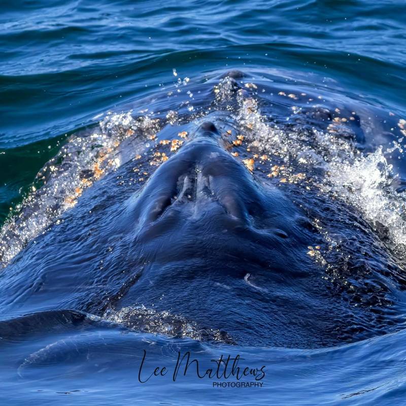 a large body of water