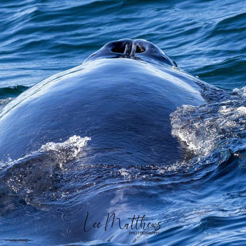 a man riding a wave on a surfboard in the water