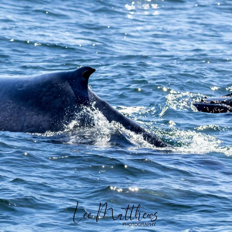 a person riding a wave on top of a body of water