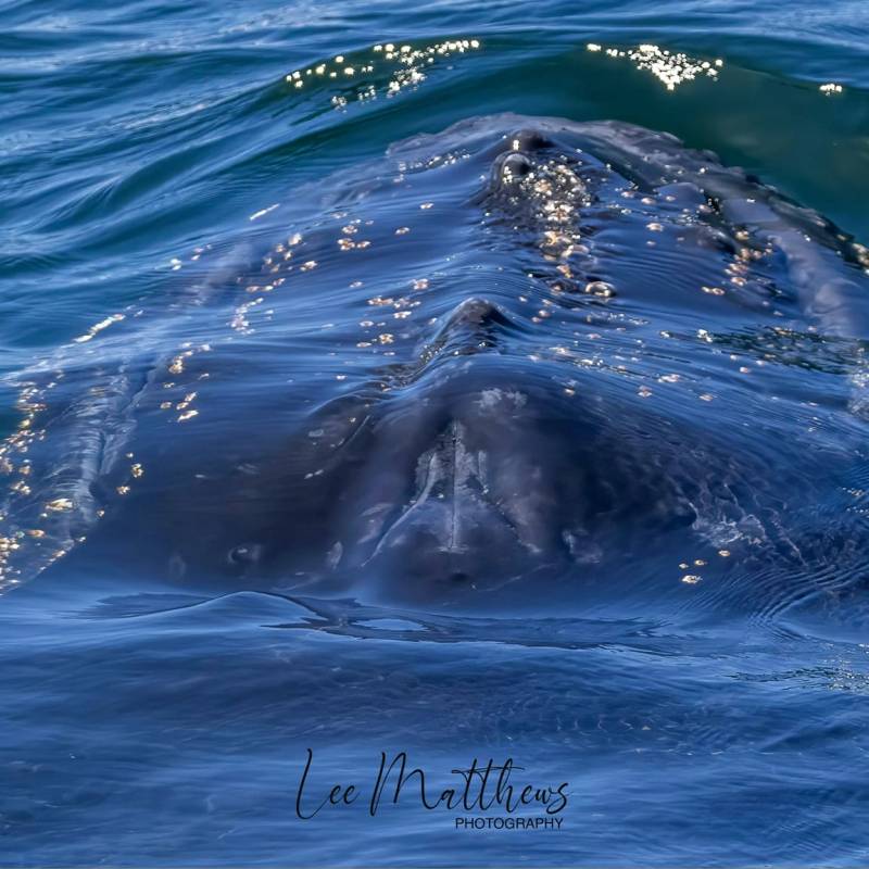 a large body of water