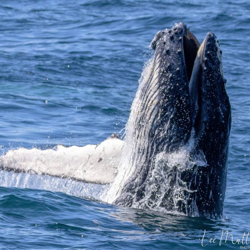 a man riding a wave on a surfboard in the water