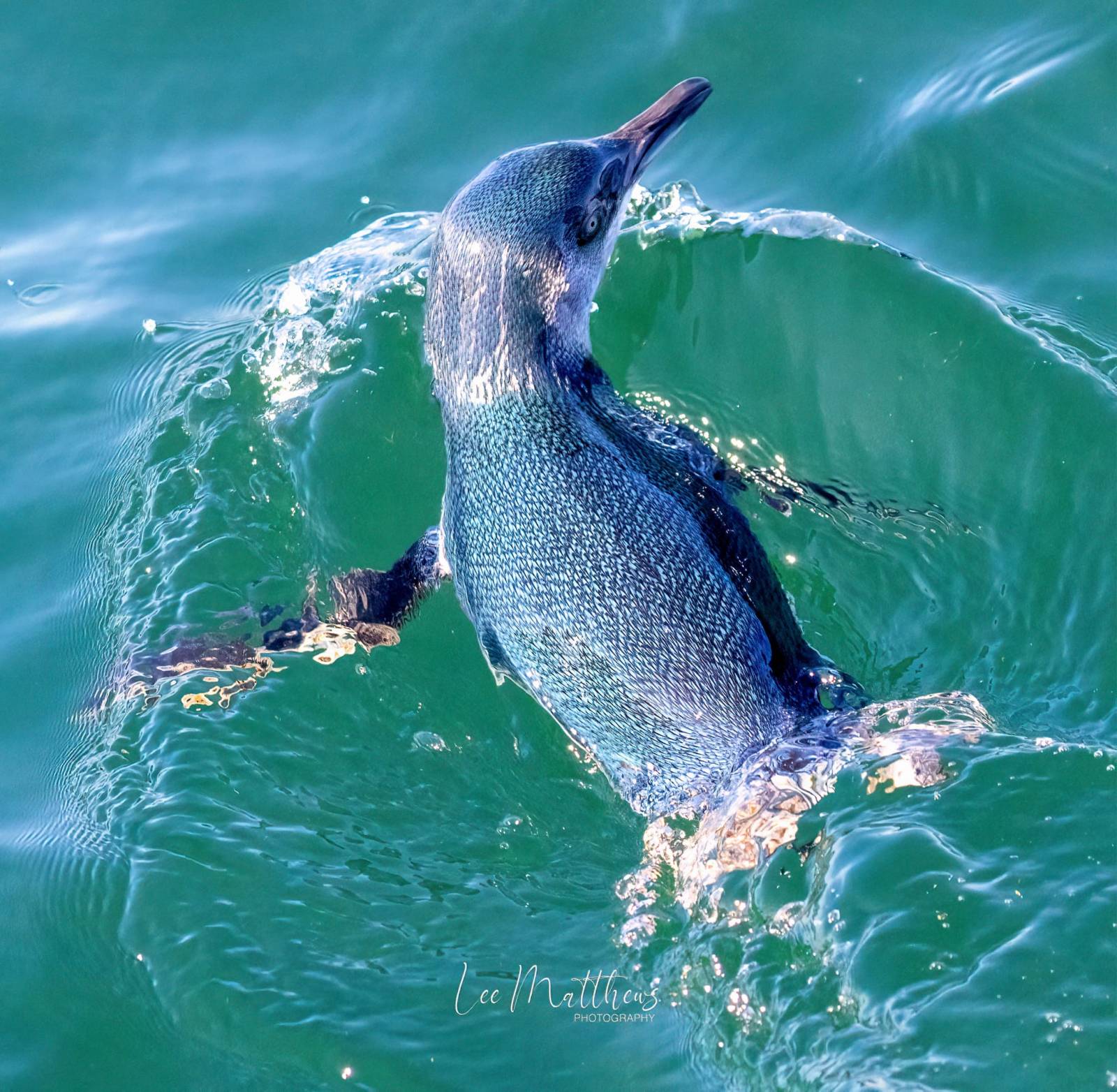 a person riding a wave on a surfboard in the water