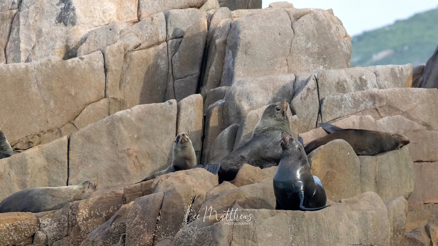 a stone building that has a zoo enclosure