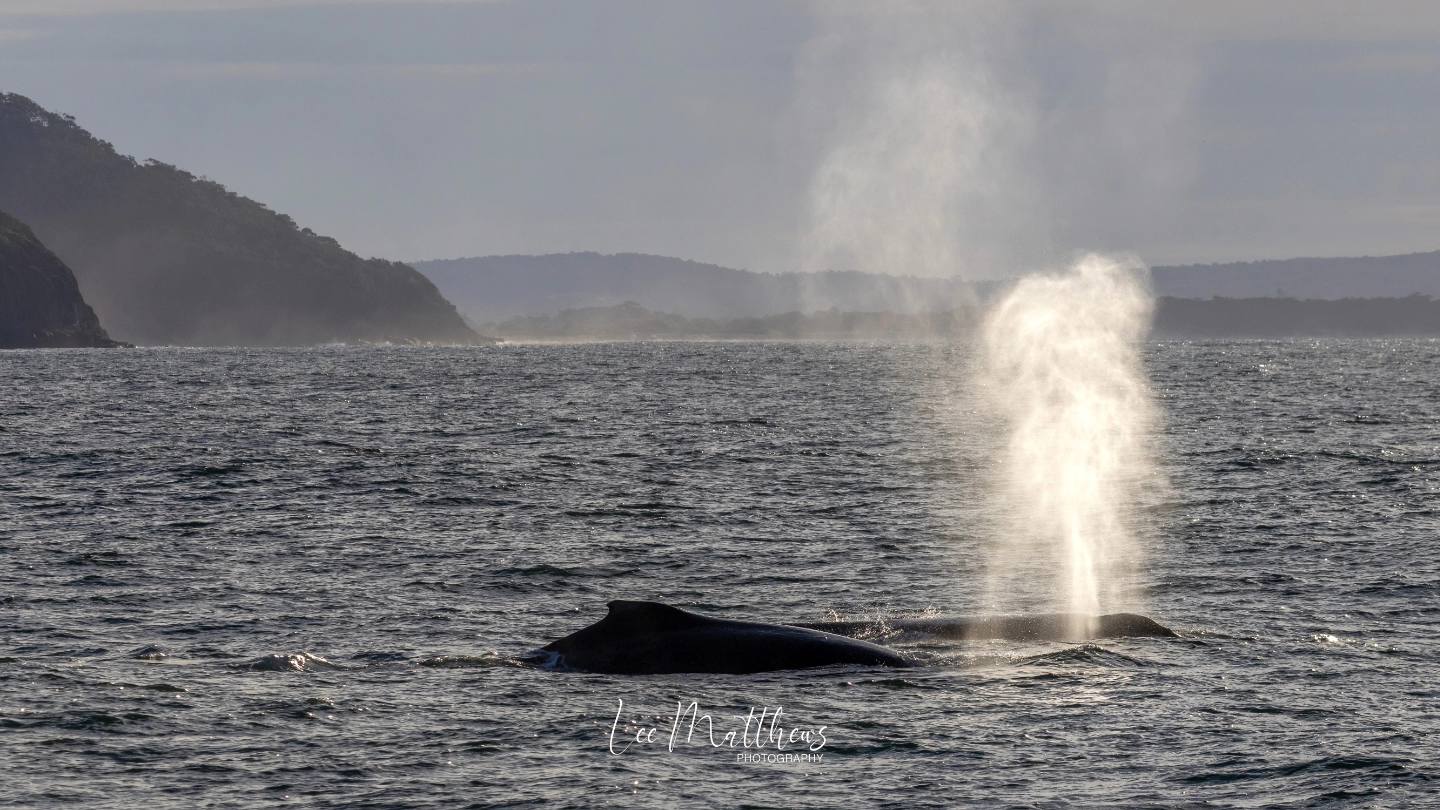 a body of water with smoke coming out of it
