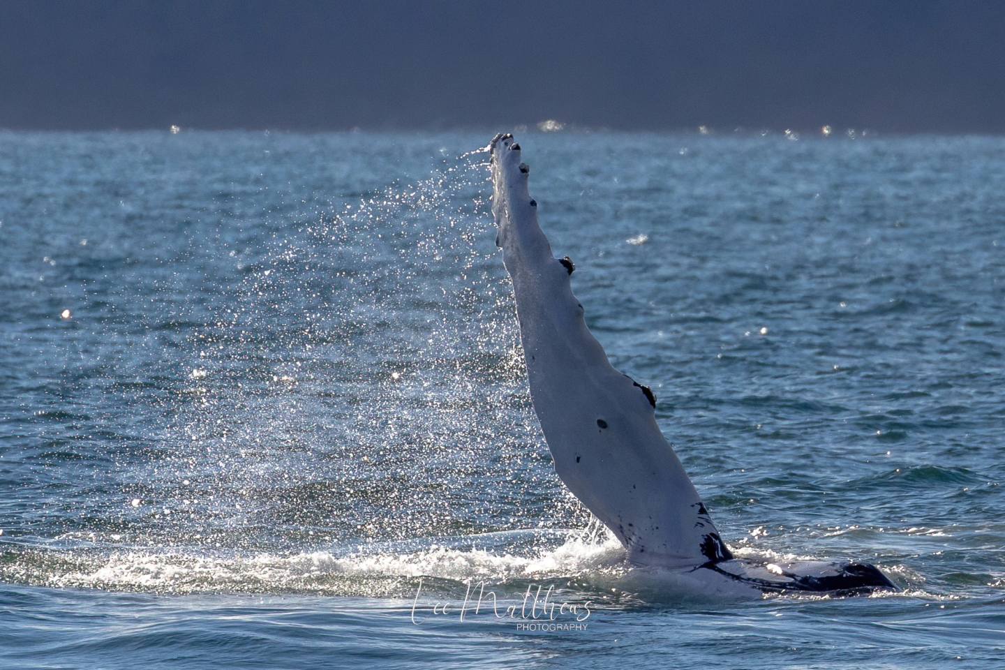 a man riding a wave on top of a body of water