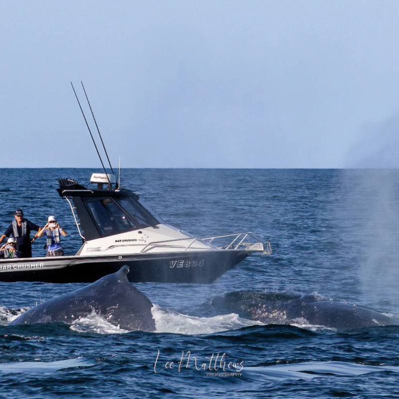 a small boat in a body of water