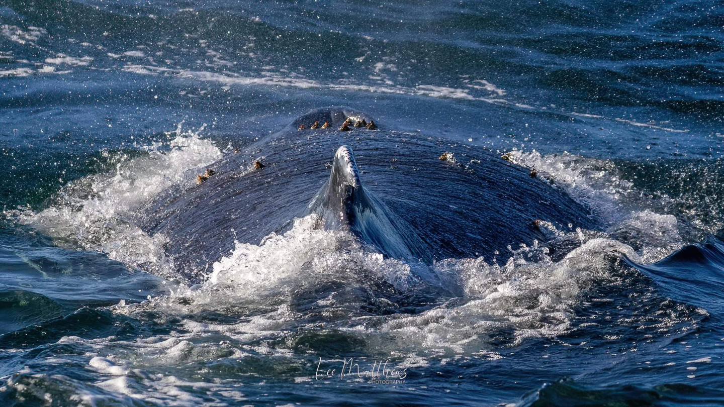 a man riding a wave on a surfboard in the water