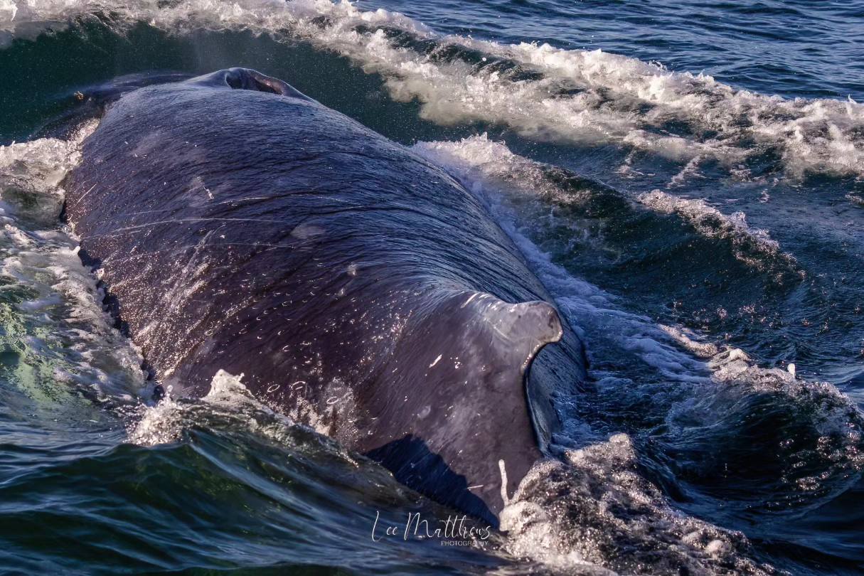 a man riding a wave on top of a body of water