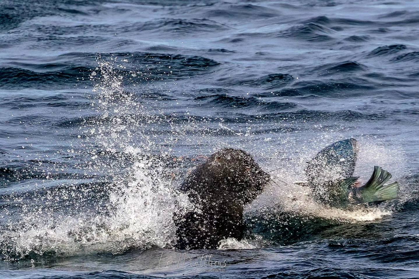 a person riding a wave on a surfboard in the water