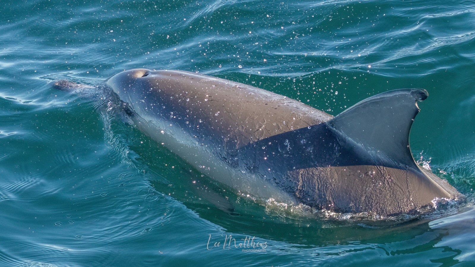 a person riding a wave on a surfboard in the water