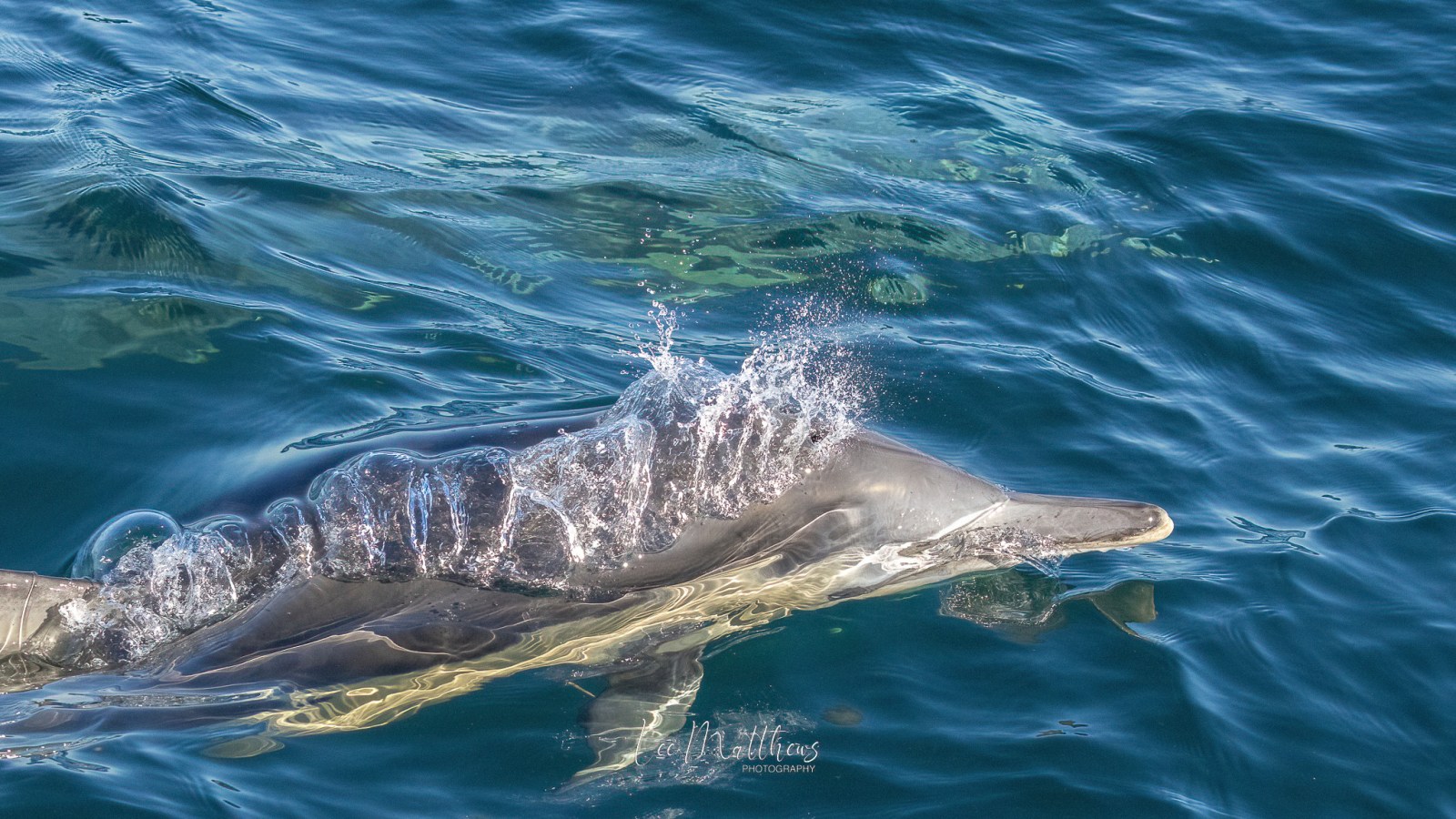 a person riding a wave on top of a body of water