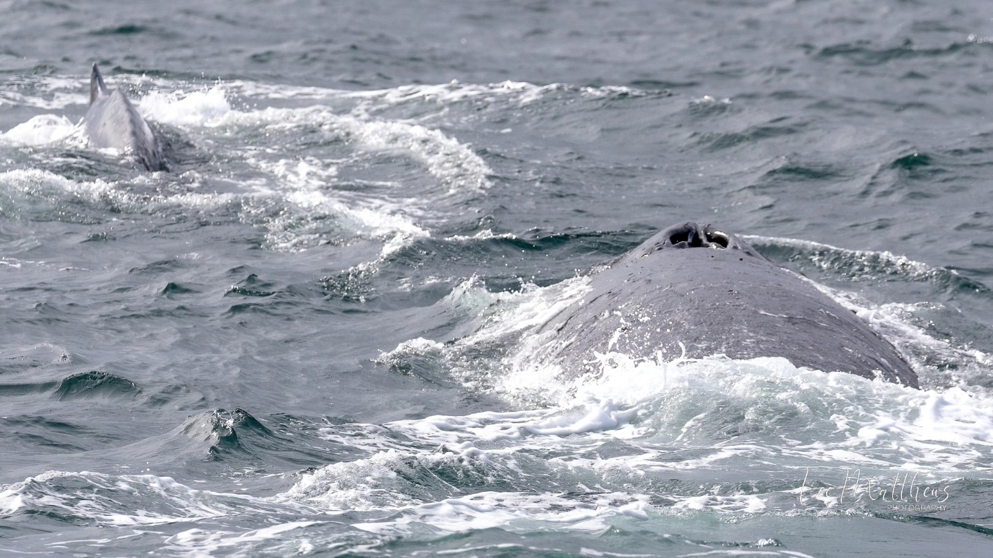 a man riding a wave on a surfboard in the ocean