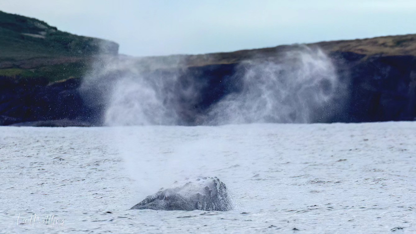 a body of water with a mountain in the background