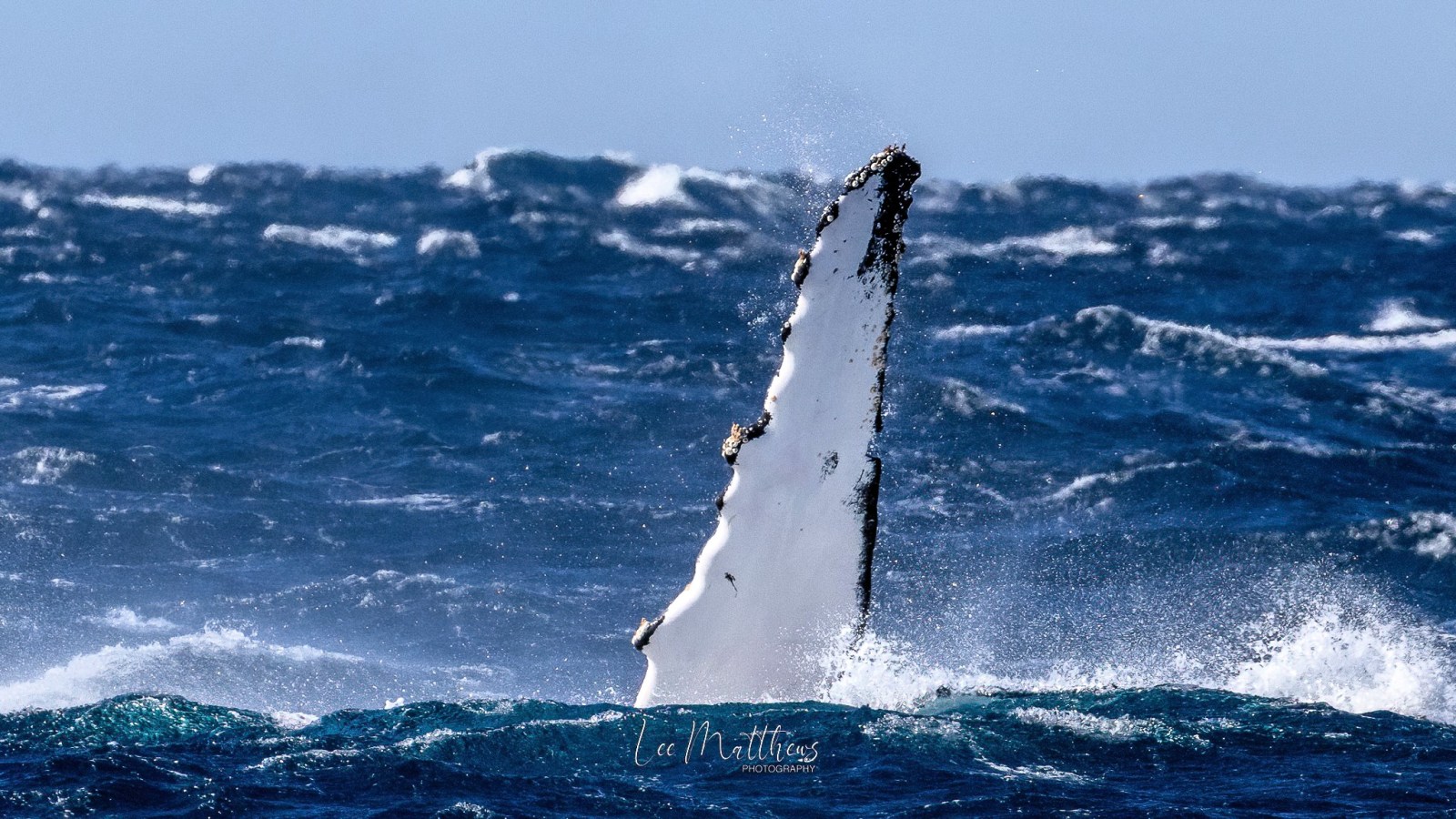 a man flying through the air while riding a wave in the ocean
