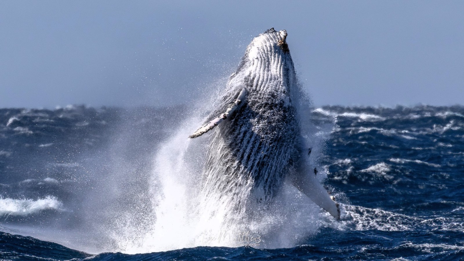 a man riding a wave on top of a body of water