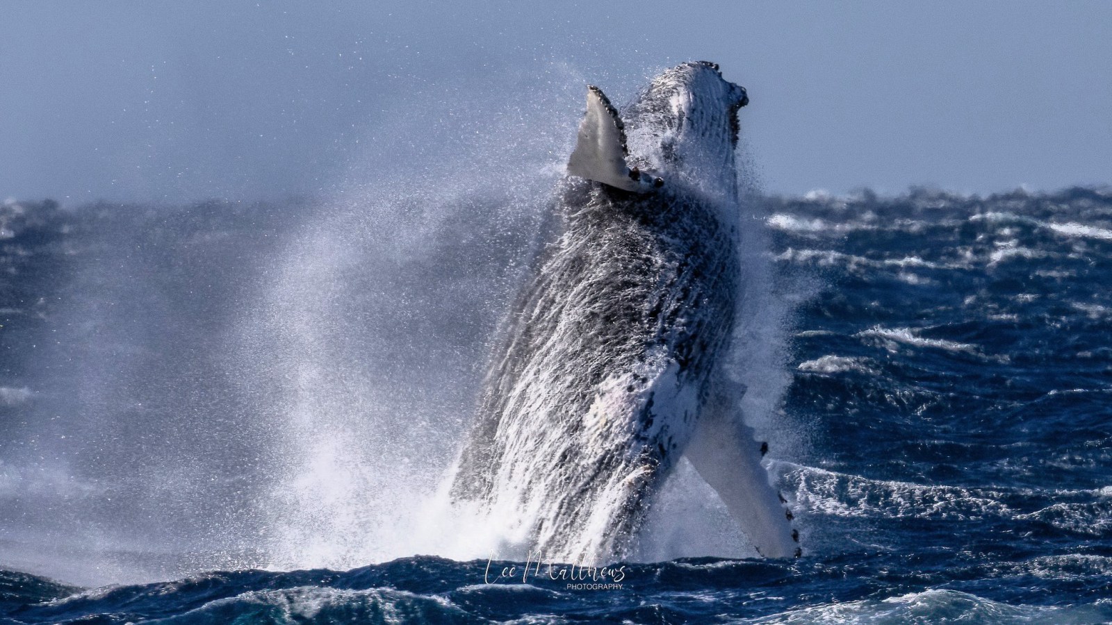 a man riding a wave on a surfboard in the water