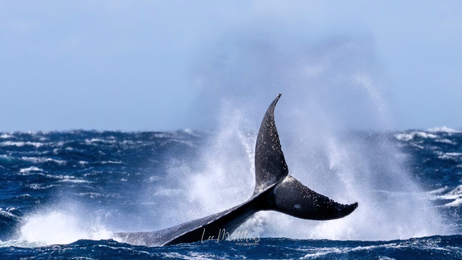 a man flying through the air while riding a wave
