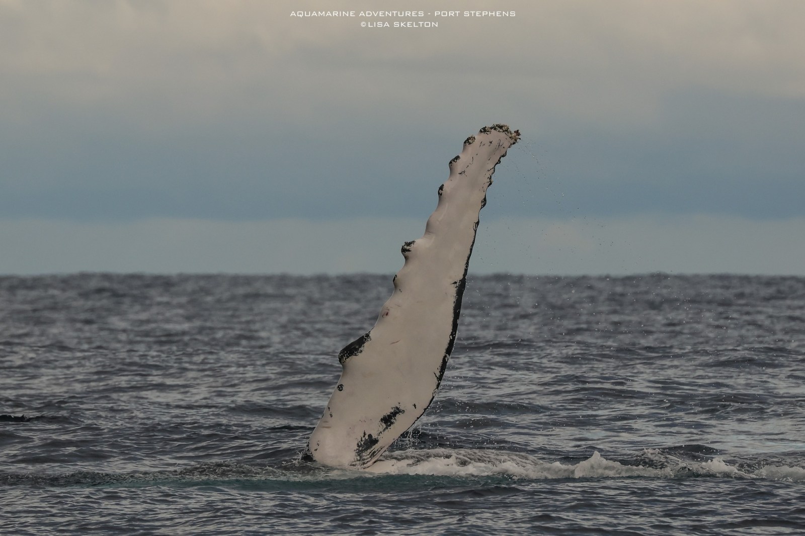 a body of water next to the ocean