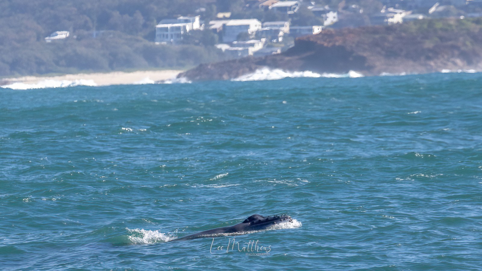 a body of water with a mountain in the background