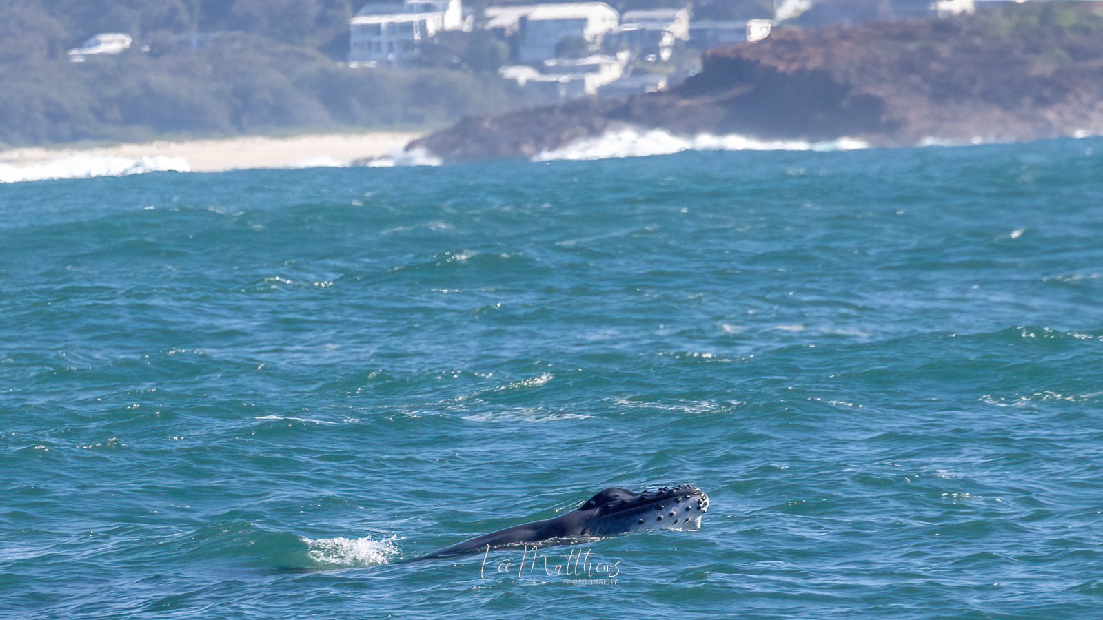 a body of water with a mountain in the background