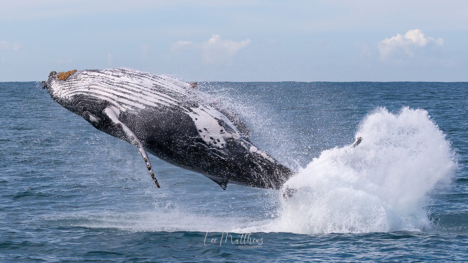 a man flying through the air while riding a wave in the ocean