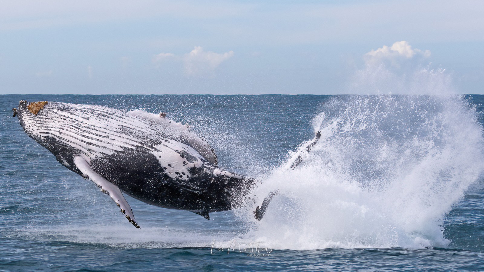 a man flying through the air while riding a wave in the ocean
