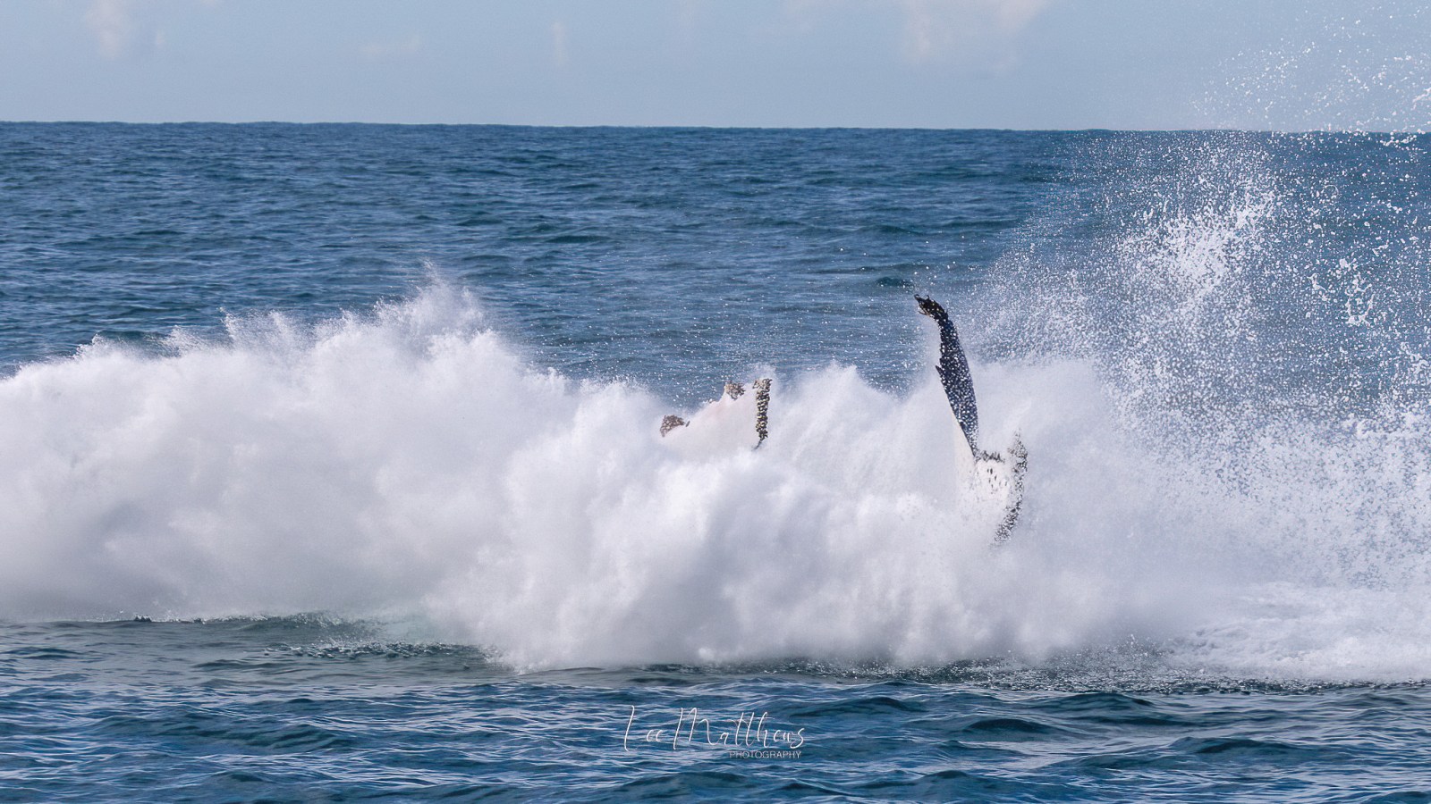 a man riding a wave in the ocean