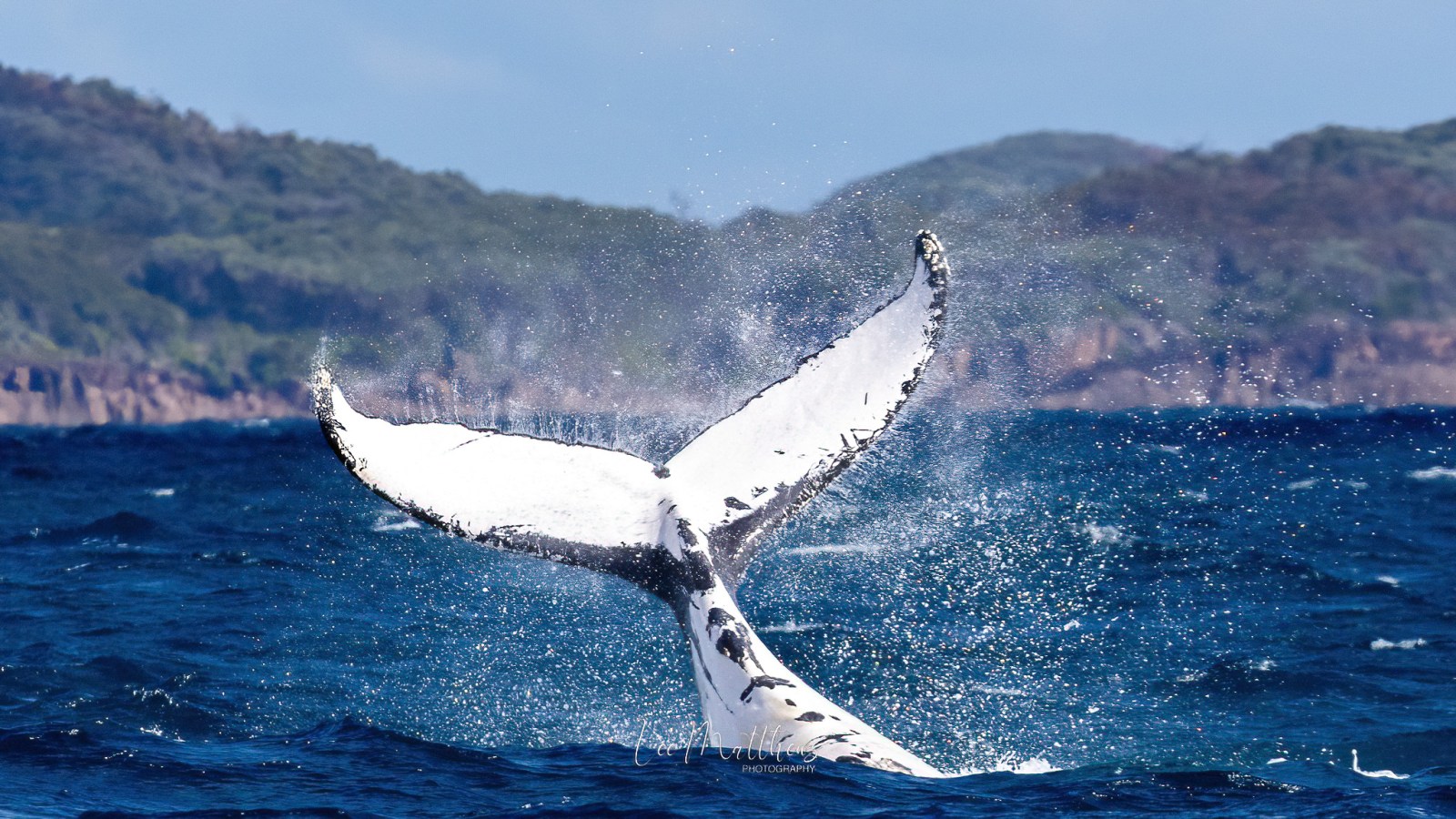 a body of water with a mountain in the background