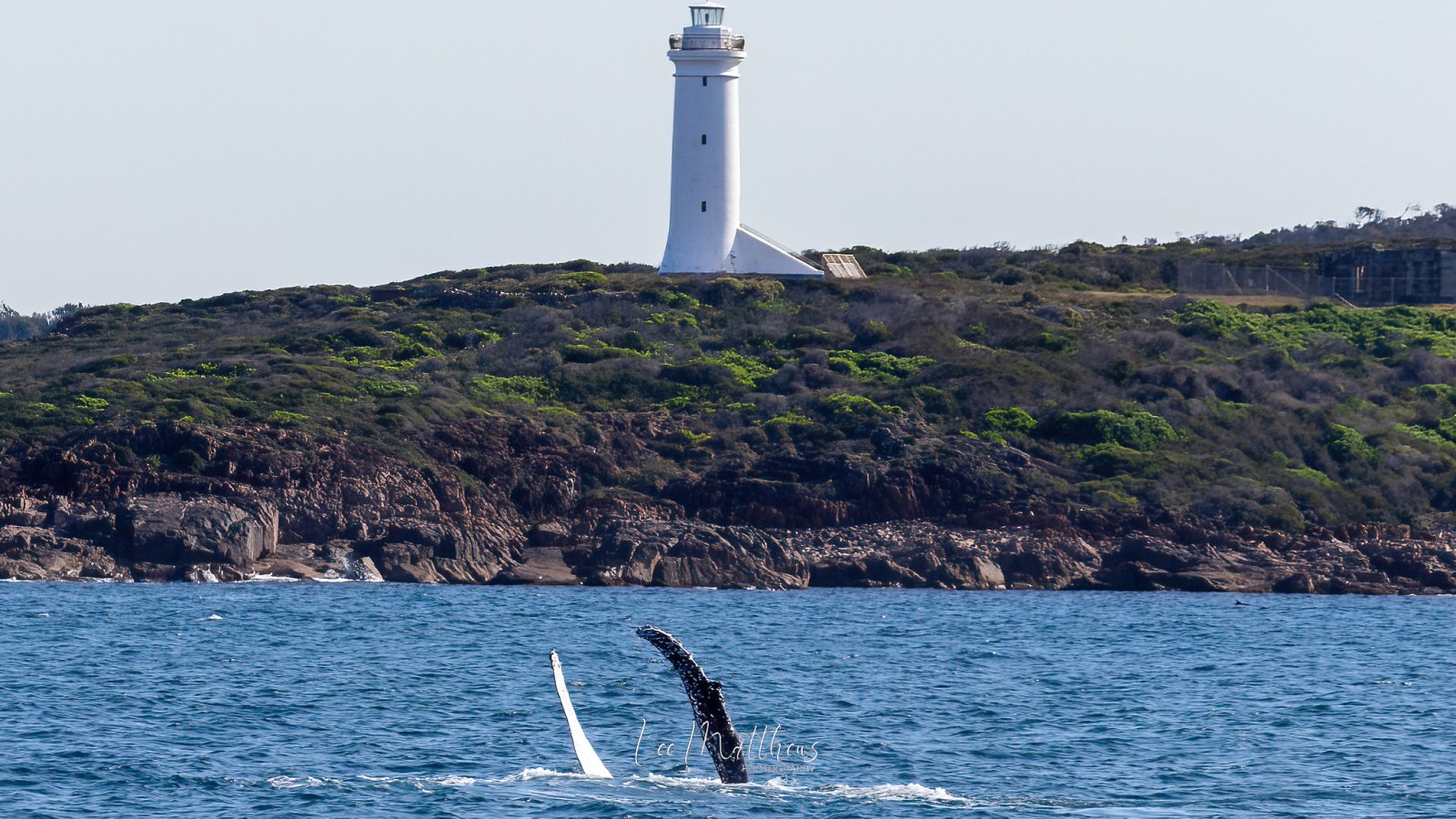 a large body of water with a mountain in the background